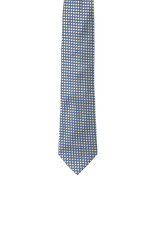 POLKA DOT NECK TIE