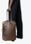 VINTAGE MONOGRAM PÉGASE 55