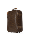 VINTAGE MONOGRAM PÉGASE 55