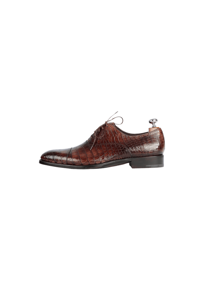 ALLIGATOR OXFORDS 42