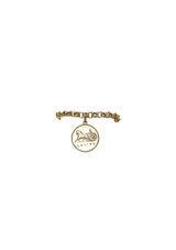 LINK MEDALLION BRACELET