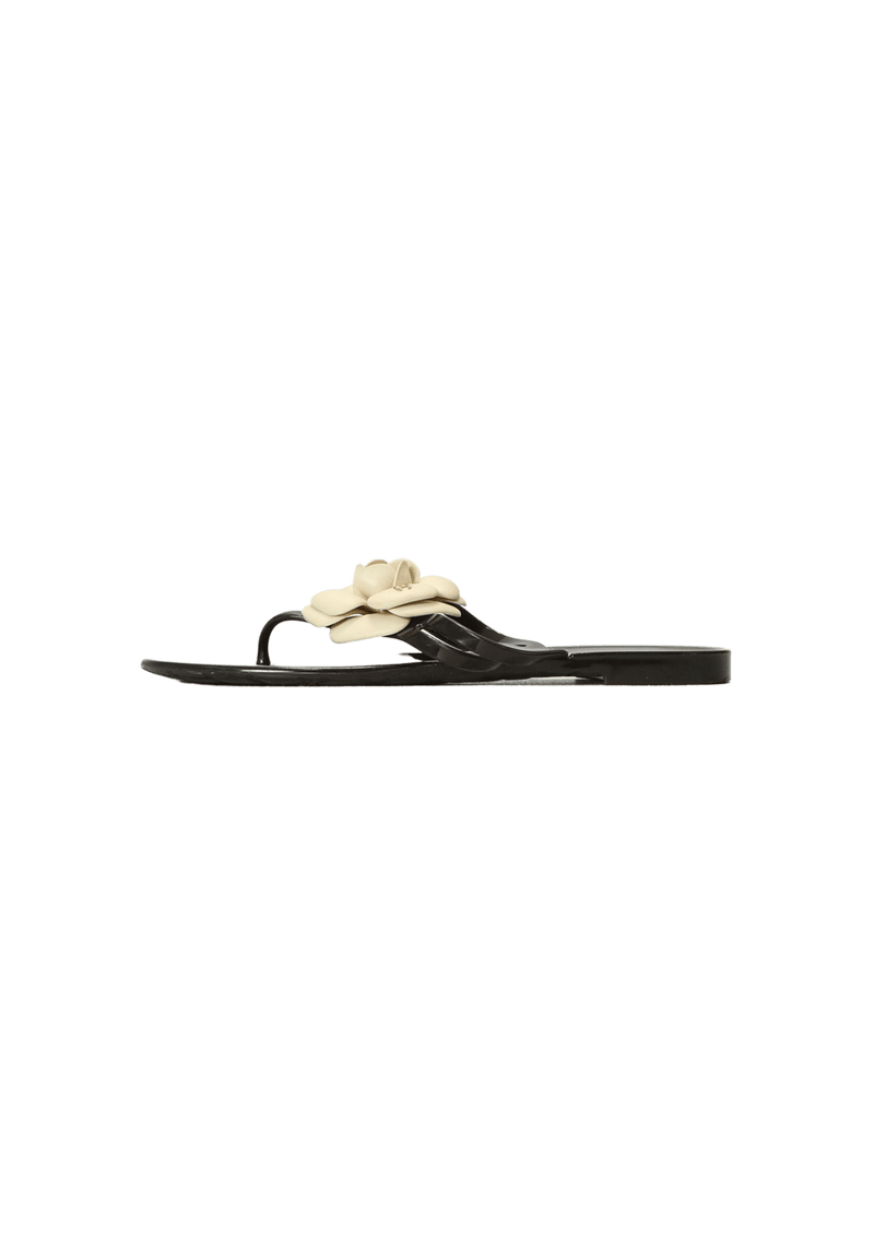 CAMELLIA FLIP FLOPS 36