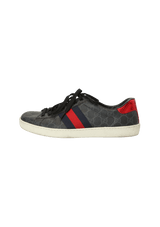 GG CANVAS SYLVIE WEB 42