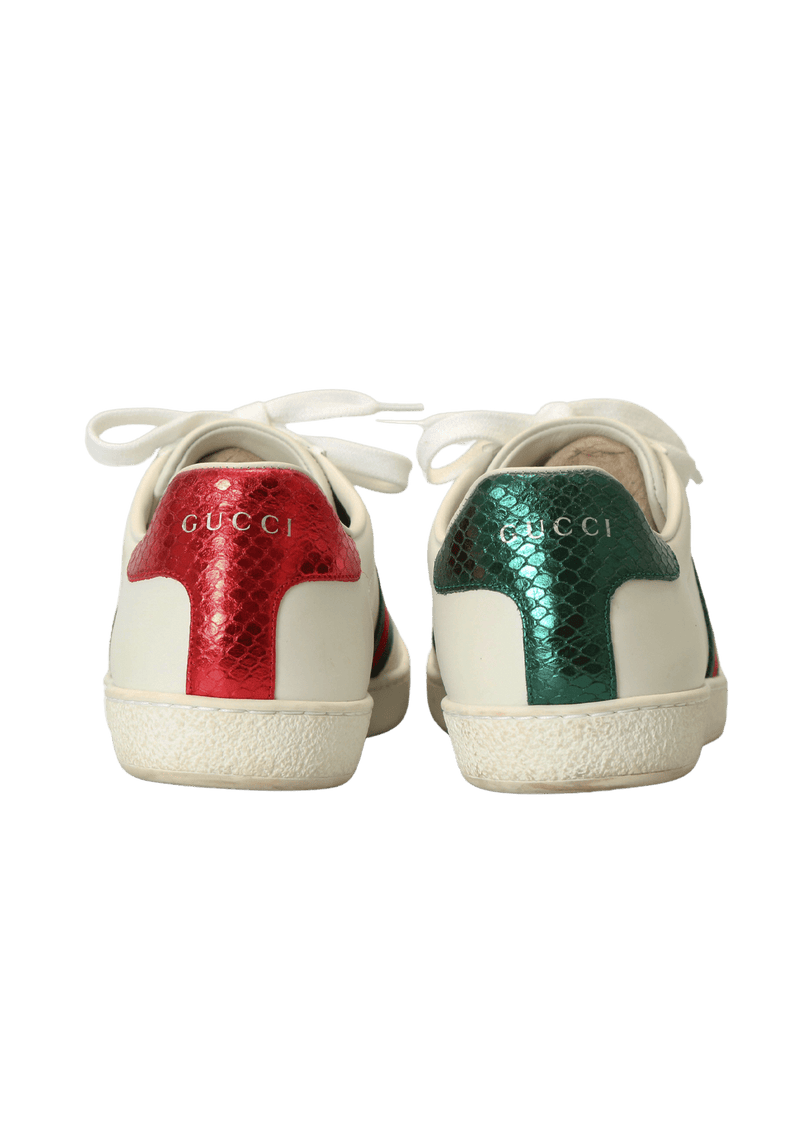 WEB BEE SNEAKERS 36